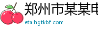 郑州市某某电子科技有限公司