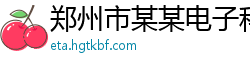 郑州市某某电子科技有限公司
